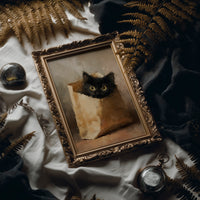 Curious Package: Midnight in a Paper Bag