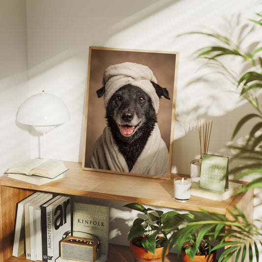 Spa Day for the Furry Companion