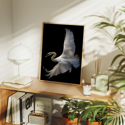 White Swan Graces The Night Bar