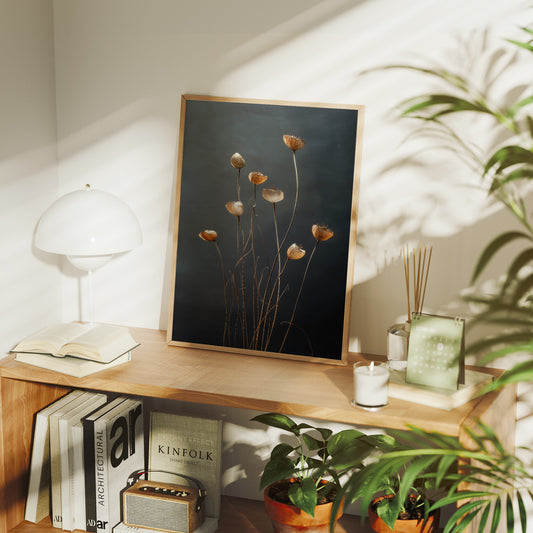 Dried Poppies Above Evening Spirits