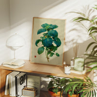 Basil Leaves Dance In Morning Light