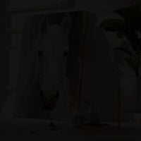 Pale Soul Of Ranch Lands