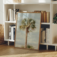 Solitary Palm Whispers Coastal Secrets