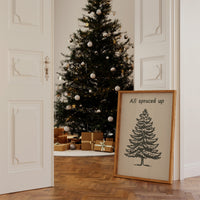 Simple Evergreen In December Light
