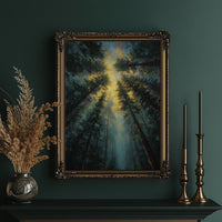 Sunbeams Pierce Ancient Forest Canopy