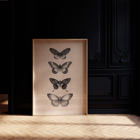 Specimen Study In Soft Light