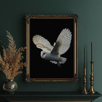 Silent Flight Against Darkness