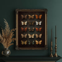 Amber Wings Against Midnight Walls