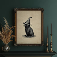 Midnight Familiar In Pointed Hat