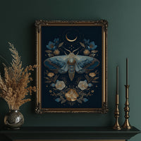 Midnight Moth Dances With Stars