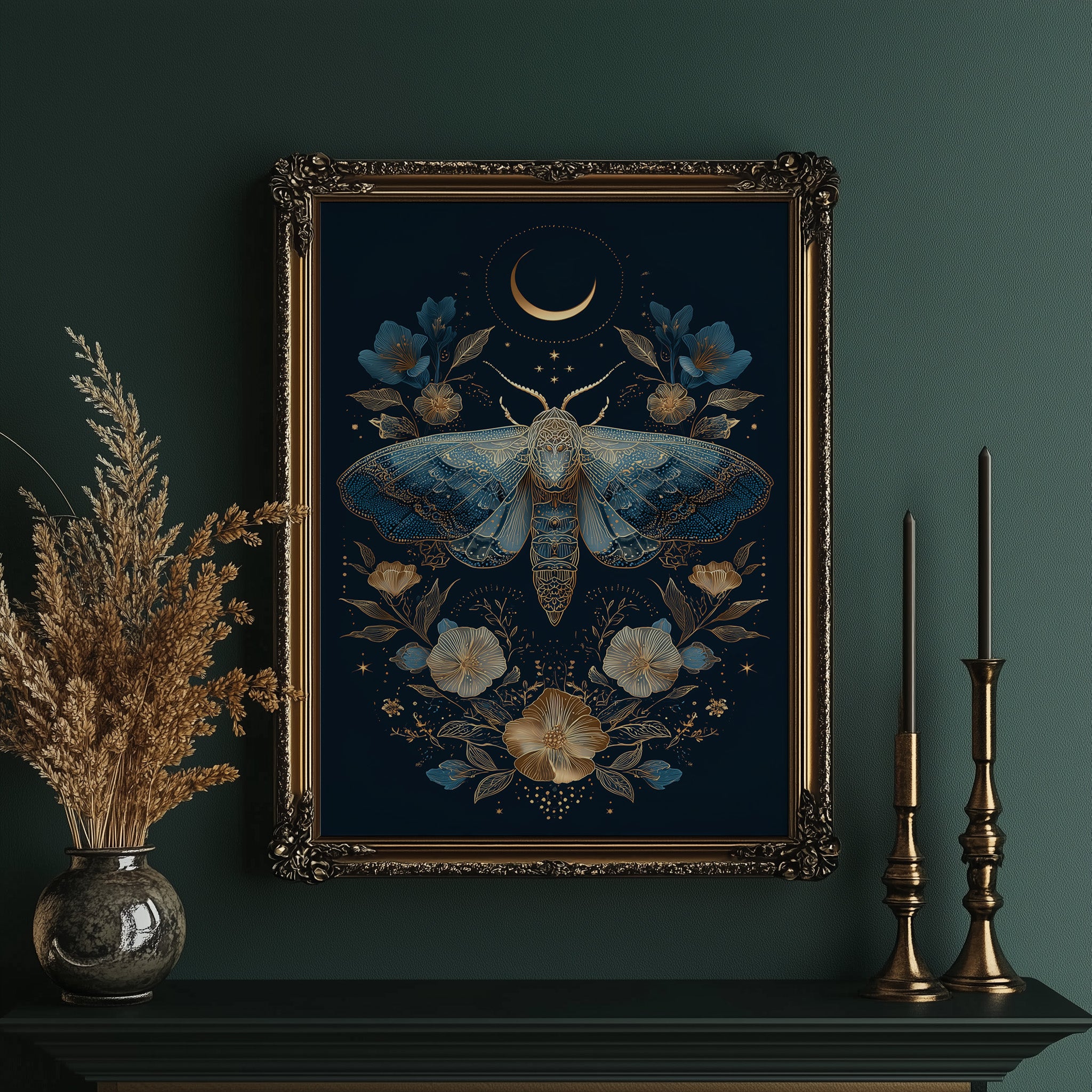 Midnight Moth Dances With Stars