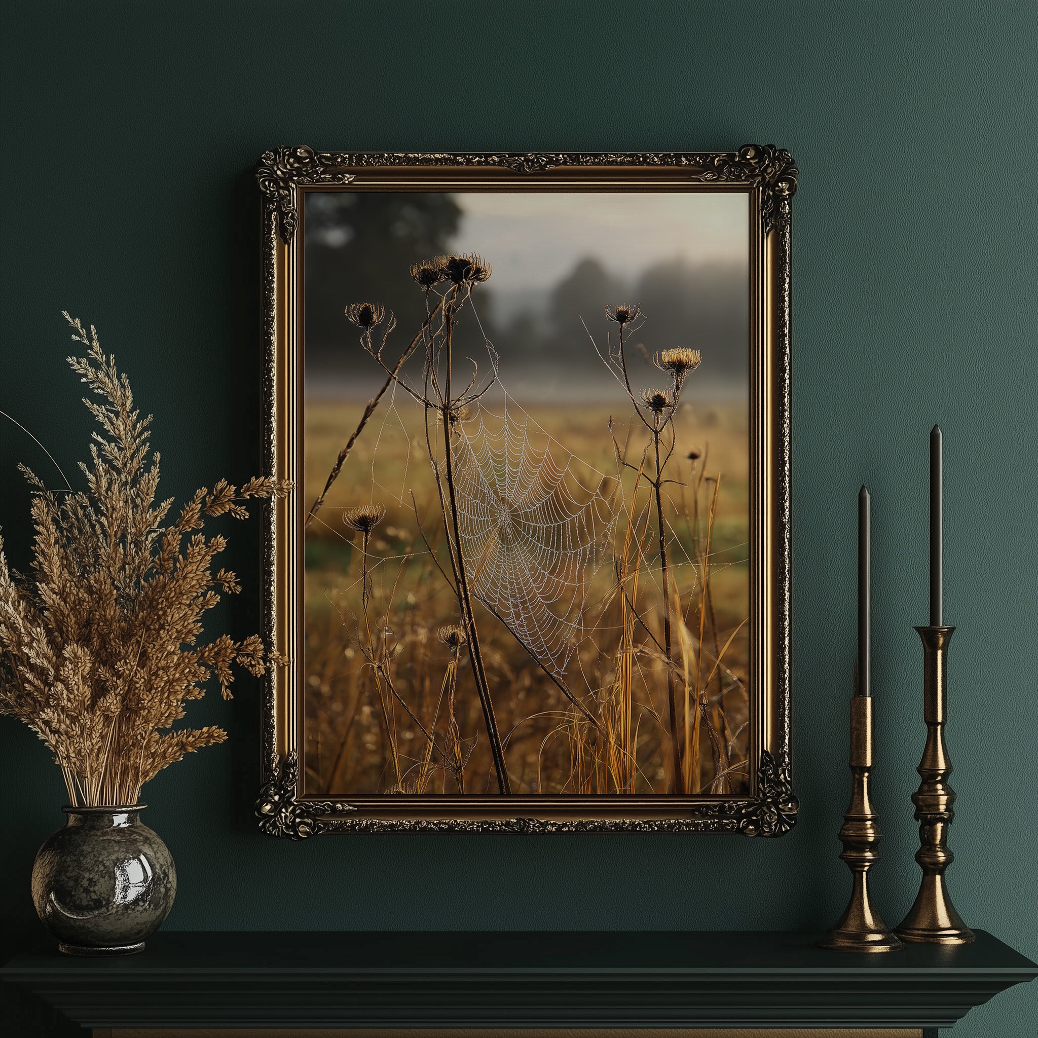 Thistles Catch Dawn's First Light