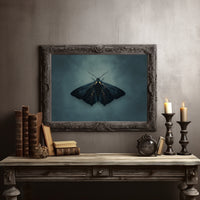 Velvet Wings Among Leather Spines