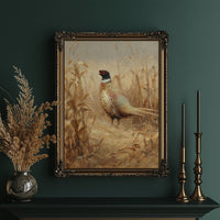 Pheasant Stands Among Golden Stalks