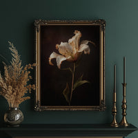 Solitary Bloom Against Midnight Depths