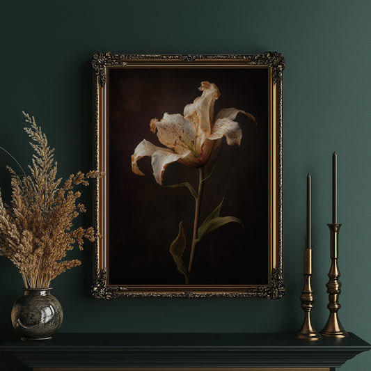 Solitary Bloom Against Midnight Depths