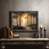 Forest Path Bathed In Light