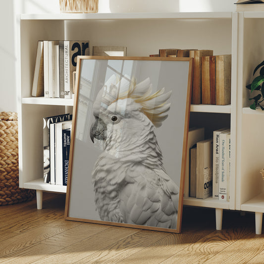 Alabaster Majesty: Portrait of a Cockatoo