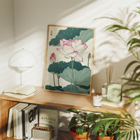 Lotus Blooms Between Library Lines