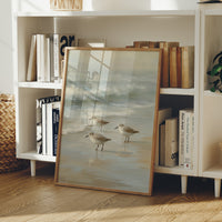 Shoreline Pause In Gentle Tide