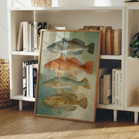 Coastal Species In Vintage Calm