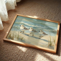 Sandpipers Dance Along Tidal Edge