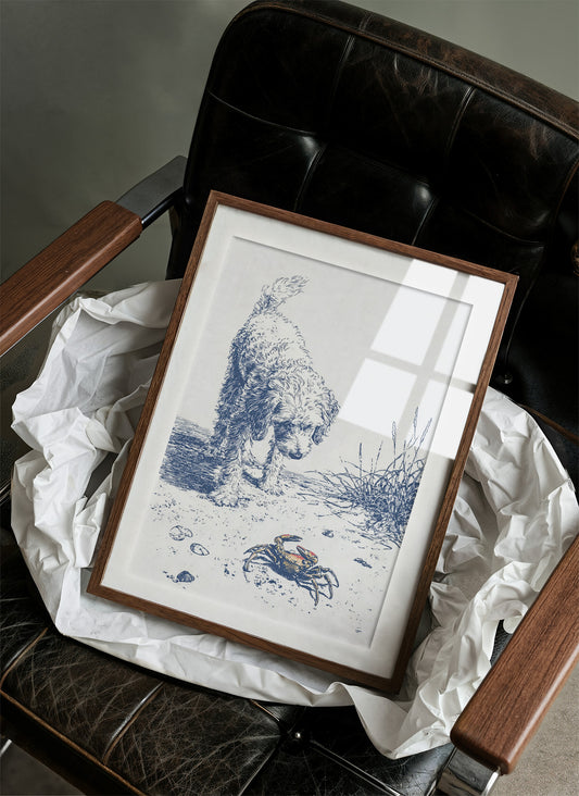 Coastal Curiosity Meets Shoreline Explorer