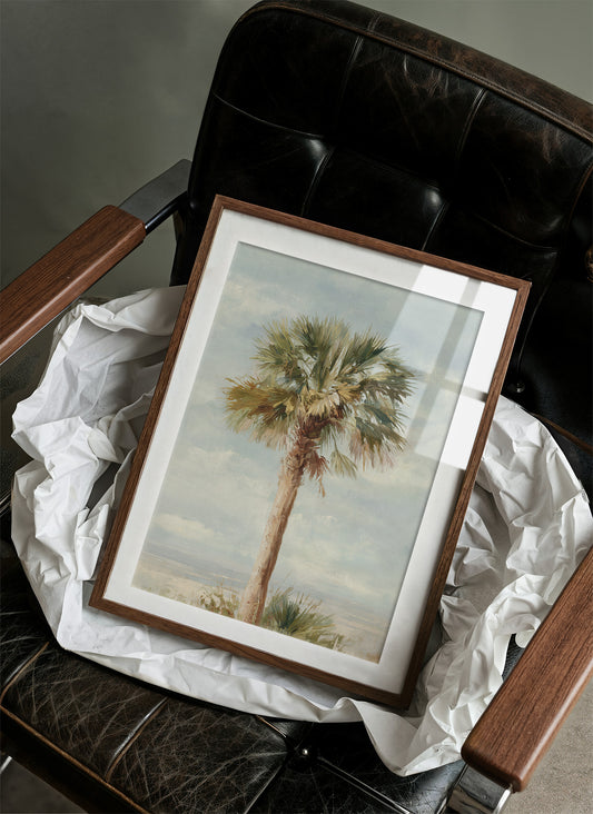 Solitary Palm Whispers Coastal Secrets