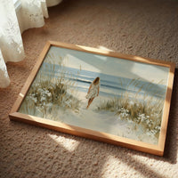Between Dunes and Tide