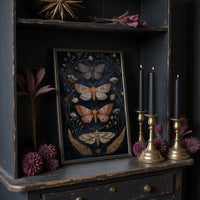 Midnight Moths Among Golden Stems