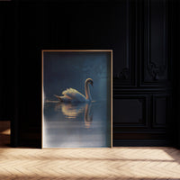 Swan Glides Through Golden Hour