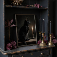Feline Vigil By Candlelight