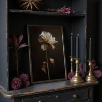 Ivory Petals Against Dark Silence