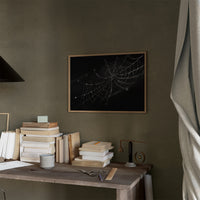 Dew Caught In Midnight Threads