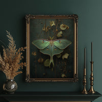 Midnight Moth Among Faded Blooms