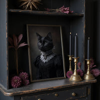 Midnight Countess Holds Court