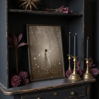 Between Mist And Butterfly Light