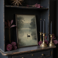 Lone Swan Crosses Misty Waters