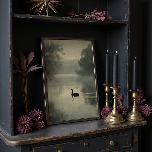 Lone Swan Crosses Misty Waters