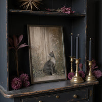 Feline Gazes Through Garden Windows