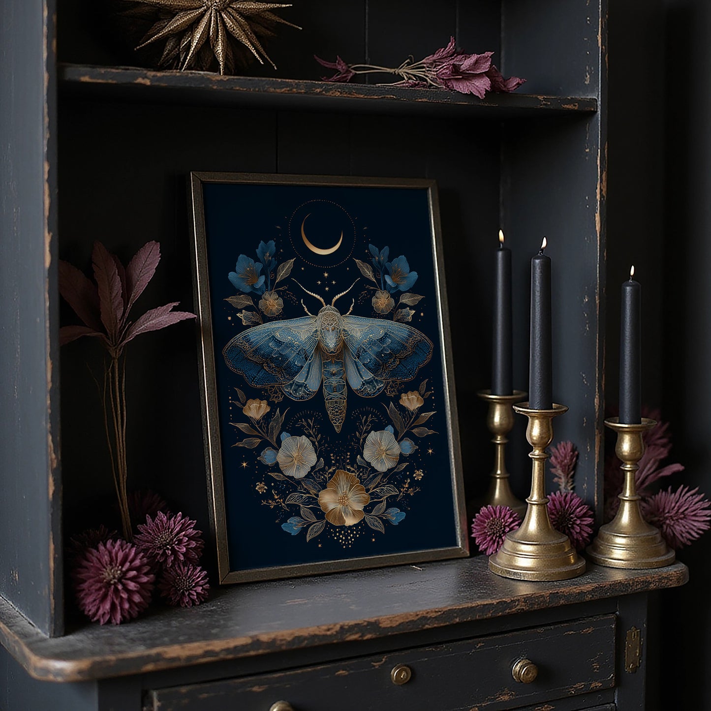 Midnight Moth Dances With Stars