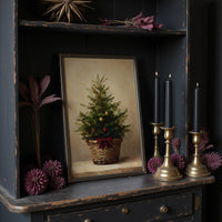 Evergreen Simplicity Against Dark Walls