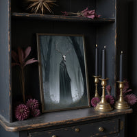 Ancient Forest Watches Time Pass