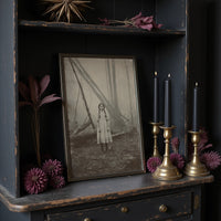 Between Fog And Fallen Trees