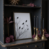 Ravens Perch On Winter Branches