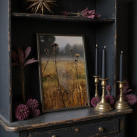 Thistles Catch Dawn's First Light