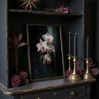 Orchids Against Midnight Walls