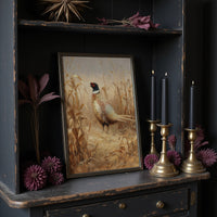 Pheasant Stands Among Golden Stalks