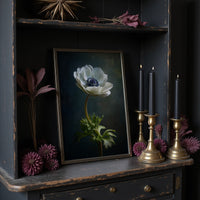 Lone Anemone Against Dark Depths