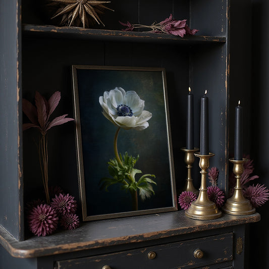 Lone Anemone Against Dark Depths